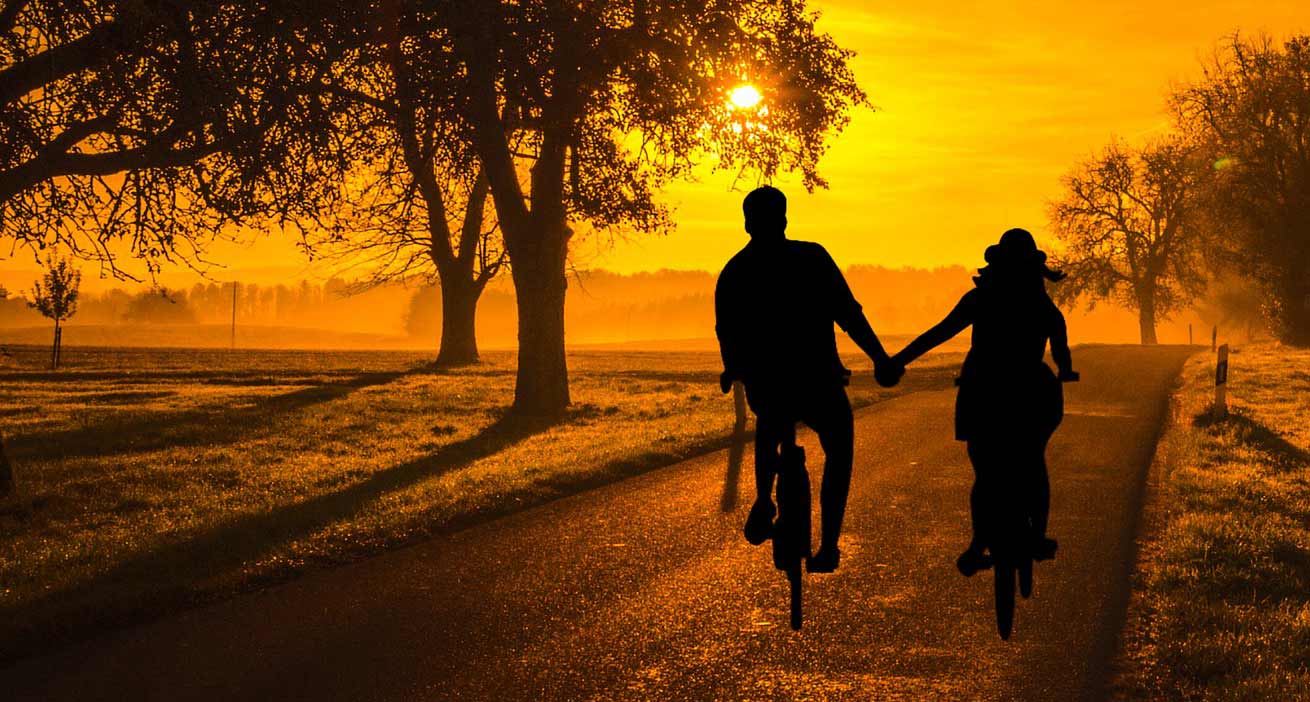 matrimonial site php script