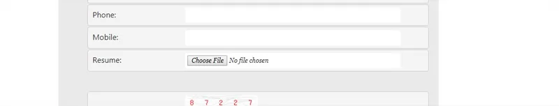 php job script Improvements in the Job Seeker Registration and Job Application