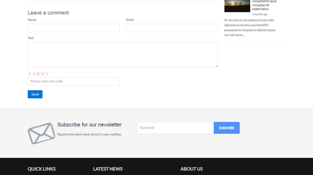 php news script el formulario de comentarios en la página del sitio de noticias