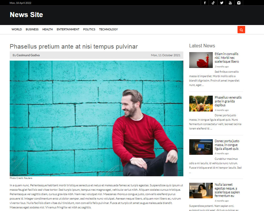 php news script página de detalles de noticias